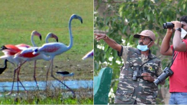 விபத்தில் சிக்கி முடங்கிய பறவை மனிதன் பால்பாண்டி.. குஞ்சுகளுக்கு மீன் வாங்க முடியாத கவலையில் தவிப்பு
