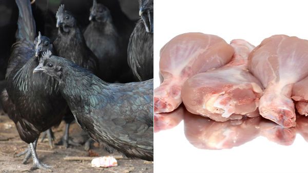 கருங்கோழியில் நோய் எதிர்ப்பு சக்தி அதிகம்... கிலோ ரூ.400-க்கு விற்ற கறி ரூ.900 வரை கிடுகிடு உயர்வு