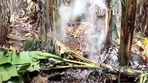 விலையே இல்லை.. வெள்ளாமை செஞ்சு என்ன பயன்? வாழை சாகுபடியையே கைவிட்ட விவசாயிகள்! 