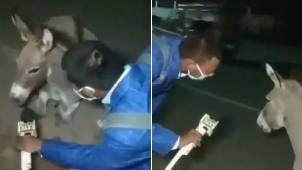 அலோ கழுதையாரே! லாக்டவுனின்போது மாஸ்க் போடாம ஏன் வெளியே வந்தீங்க?.. மைக்கை நீட்டிய அதிரடி நிருபர்