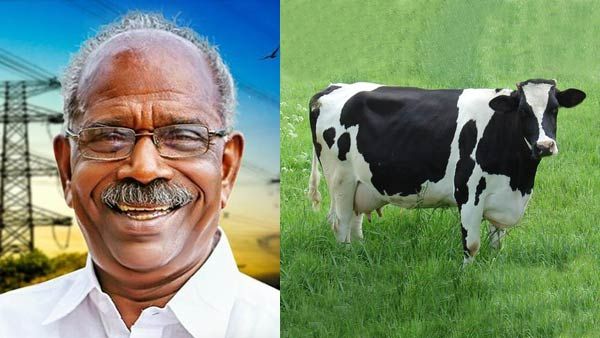 மாட்டுக்கு தண்ணீர் வைப்பது முதல் பால் கறப்பது வரை... சகலமும் கவனிக்கும் கேரள மின்சாரத்துறை அமைச்சர்