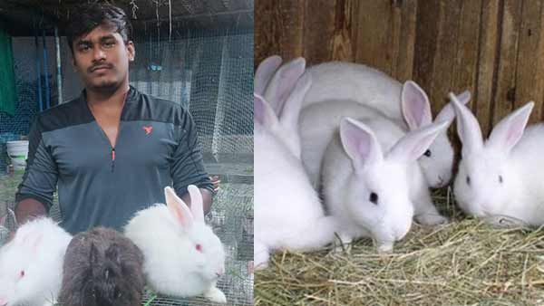 முயல் பண்ணை மூலம் மாதம் ரூ.1 லட்சத்திற்கு குறையாத வருமானம்... சாதிக்கும் கிருஷ்ணகிரி இளைஞர்