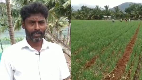 வெங்காயம் பறிக்க வரும் பிற மாவட்ட தொழிலாளர்களுக்கு உடனே  இ பாஸ் வழங்க வலியுறுத்தல் 