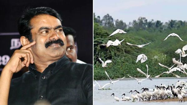 சட்டப் போராட்டத்தில் சாதித்த நாம் தமிழர் கட்சி.. ஆபத்திலிருந்து தப்பிய வேடந்தாங்கல் பறவைகள் சரணாலயம்