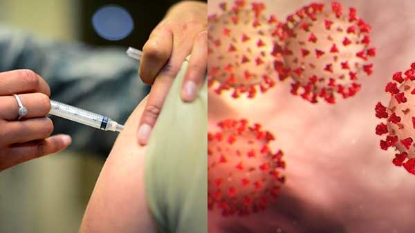 ஆக்ஸ்போர்டு பல்கலை. கொரோனா தடுப்பூசி.. முதல்கட்ட சோதனை வெற்றி.. வெளியானது அசத்தல் அறிவிப்பு