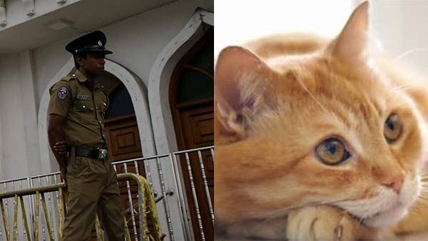 அன்று புலிகளை தேடிய இலங்கை போலீஸ்.... இன்று ஹெராயின் கடத்தலில் பிடிபட்டு தப்பிய பூனையை தேடுதாம்