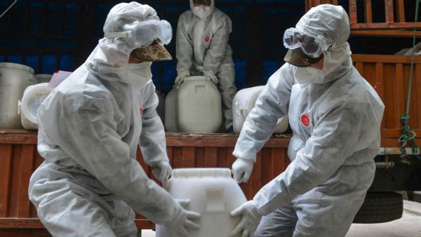 சீனாவில் பரவும் புதிய வைரஸ்...டிக் போர்ன்...7 பேர் உயிரிழப்பு... மனிதனுக்கு மனிதன் பரவுமா?