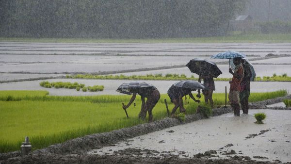 ஜூன் ஜூலையில் குறைந்த மழை... ஆக., செப்டம்பரில் சூடு பிடிக்குமா.. விவசாயம் செழிக்குமா?