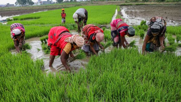மத்திய அரசின் திட்டத்தால் கிராமப் பொருளாதாரம் புத்துயிர் பெற வாய்ப்பு