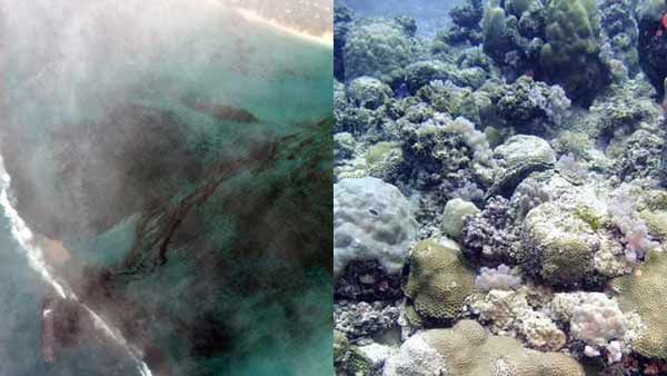 கசியும் ஆயில்.. மொரீசியசில் சுற்றுச்சூழல் எமெர்ஜென்சி பிரகடனம்.. என்ன நடந்தது?