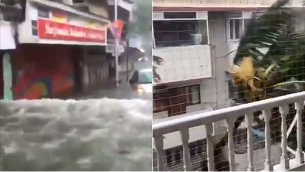 சும்மா ரப்பர் போல் வளைந்து நெளிந்து ஆடும் தென்னை.. வீட்டில் காட்டாற்று வெள்ளம் போல் பாயும் நீர்