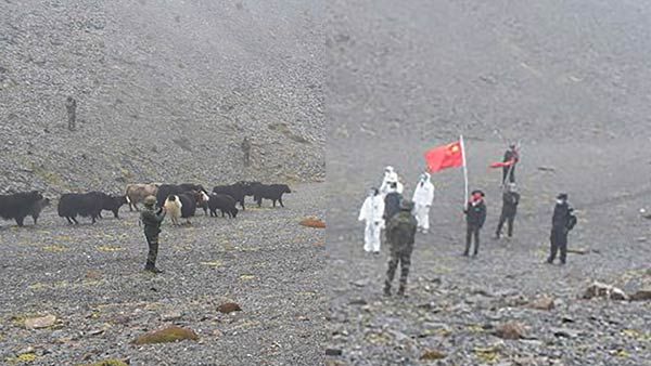 அருணாச்சலில் எல்லை தாண்டிய எருதுகள்... உளவு கருவிகளை பொருத்தி வேவு பார்க்க அனுப்பி வைத்ததா சீனா?