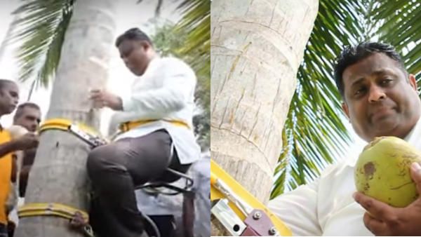 தென்னை மரத்தின் மீது பிரஸ்மீட்.. சரசரவெனெ ஏறி விட்டு இறங்கத் தெரியாமல் திணறிய அமைச்சர்!