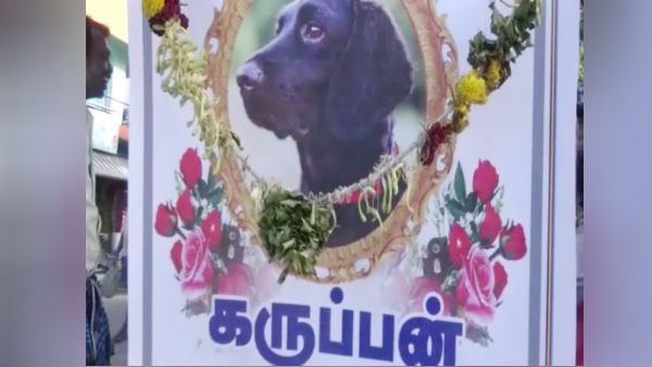 எனக்கு கண்ணீர் அஞ்சலி போஸ்டர் ஒட்டும் நண்பன் போதுண்டா.. கருப்பன் சம்பாதித்த சொத்து இது!