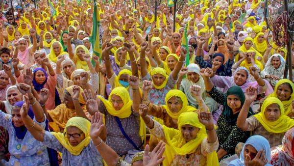 வேளாண் மசோதாக்களுக்கு எதிர்ப்பு- செப். 25-ல் 'பாரத் பந்த்'- 250 விவசாய சங்கங்கள் அழைப்பு!