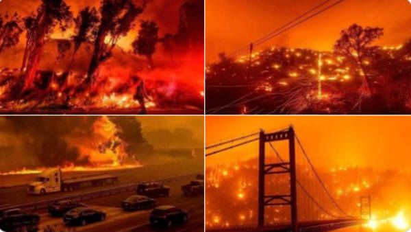 600 இடங்களில் தீ.. பற்றி எரியும் மாகாணங்கள்.. அமெரிக்காவை நிலைகுலைய வைத்த பேரிடர்.. என்ன நடந்தது?