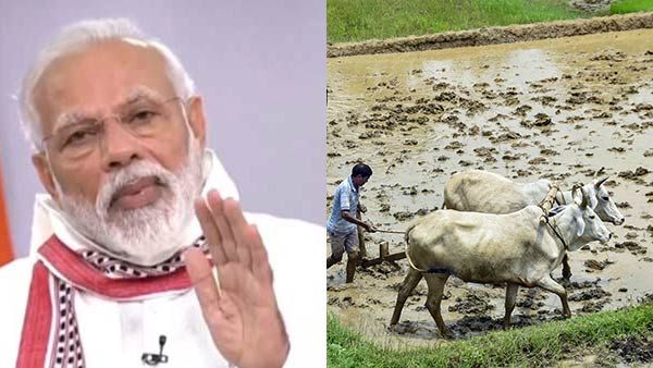 விவசாயிகள் வளமாக இருந்தால்தான் தேசம் வலிமையாக இருக்கும்- மோடி