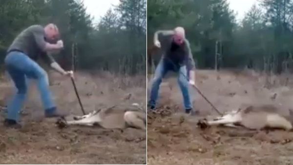 தன் உயிரை பணயம் வைத்து இந்த நபர் செய்த காரியத்தை பாருங்க!.. இவர்தாங்க உண்மையான ஹீரோ!