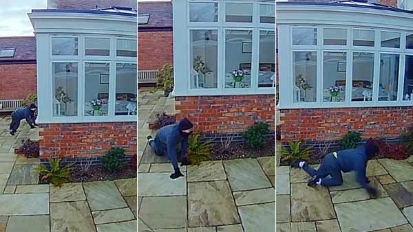 தவழ்ந்து வந்த ‘திருட்டு’ பூனை.. வேடிக்கை பார்த்த நிஜ பூனை.. சிசிடிவி காட்சியால் மாட்டிய திருடன்!