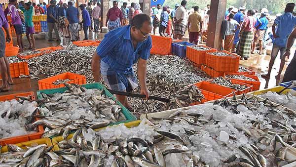 புரட்டாசி மாதம் முடிந்து முதல் ஞாயிற்றுக்கிழமை... இறைச்சி வாங்க அலைமோதும் அசைவப் பிரியர்கள்..!