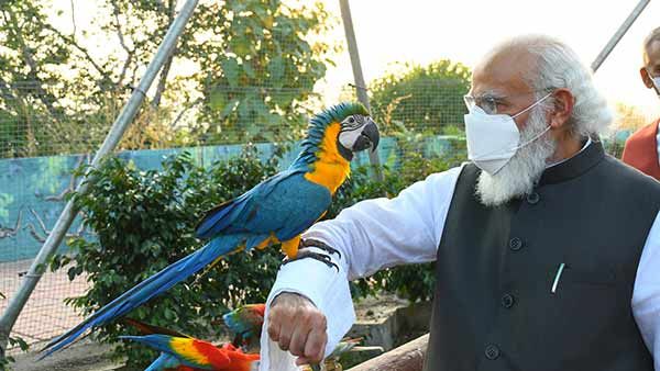 மோடி கையை நீட்டினால்.. அந்த கிளி ஏறவே இல்லையே.. ஏன்?.. வைரல் வீடியோ!