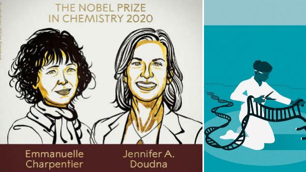 டிஎன்ஏவில் 'கத்திரி' போட்டு மாற்றம் செய்து சாதனை: 2 பெண் விஞ்ஞானிகளுக்கு வேதியியலுக்கான நோபல் பரிசு