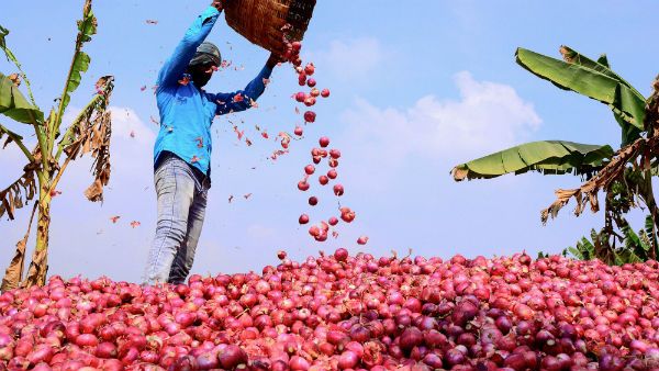உரிக்காமலேயே கண்ணீர் வரவைக்கும் சின்ன வெங்காயம்... விலை 1 கிலோ 100 ரூபாய்