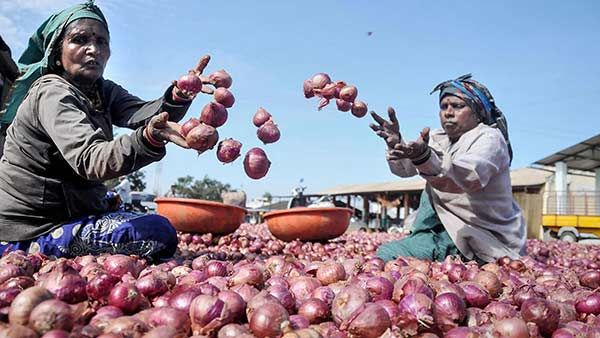 திருச்சி பசுமை பண்ணை கடைகளில் விற்றுத் தீர்ந்த வெங்காயம் - பொதுமக்கள் ஏமாற்றம்