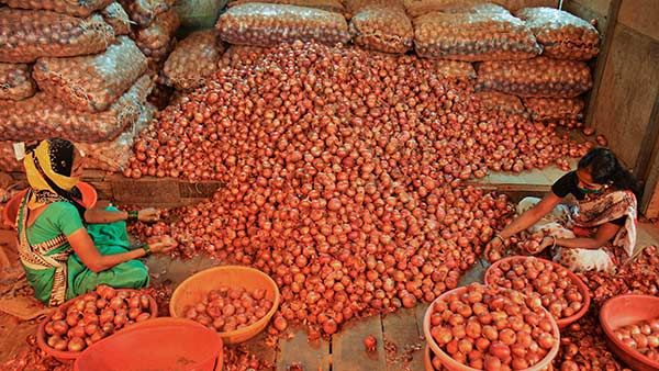 விலை உயர்வு எதிரொலி... வெங்காய இறக்குமதிக்கு விதிகள் தளர்வு... மத்திய அரசு அறிவிப்பு..!