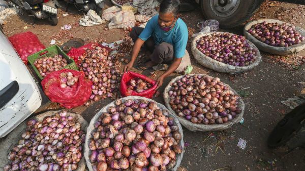வெங்காய விலை உயர்வு : ஆப்கனில் இருந்து ஒரு லட்சம் டன் வெங்காயம் இறக்குமதி