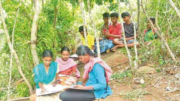 ஆன்லைன் வகுப்பு.. சிக்னலுக்காக 3 கி.மீ நடந்து.. மலை உச்சியில் கொட்டகை அமைத்து படிக்கும் மாணவர்கள்