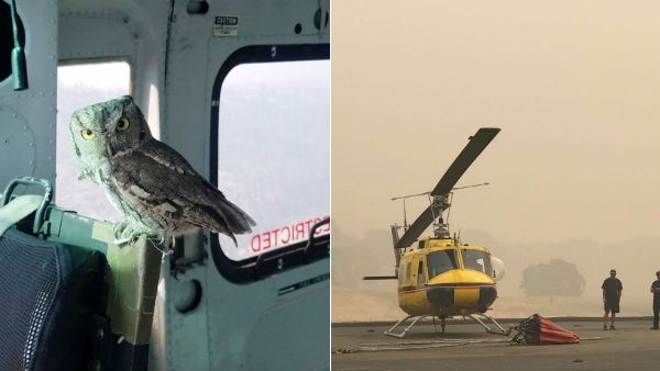 சீக்கிரமா தீயை அணைங்க.. எங்க வீடெல்லாம் எரிஞ்சு போச்சு.. பைலட்டை அதிர வைத்த 