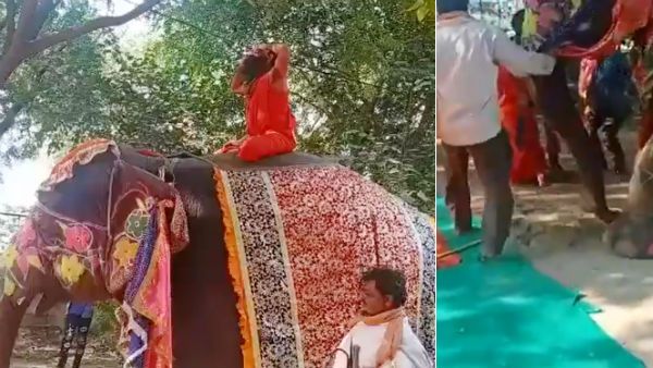 இதெல்லாம் எதுக்காம்? யானை மேல் உட்கார்ந்து யோகா செய்யப் போய் பரிதாபமாக பொத்தென விழுந்த பாபா ராம்தேவ்