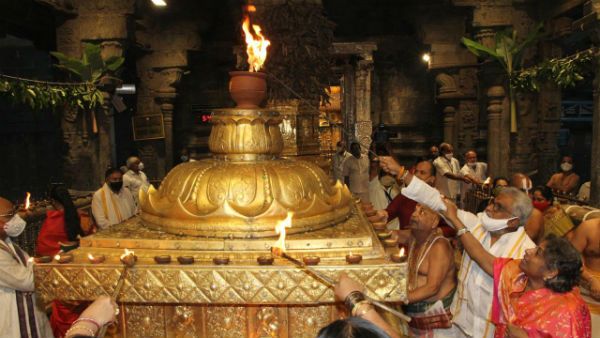 திருப்பரங்குன்றம் முதல் திருமலை வரை... கார்த்திகை தீப திருவிழா கோலாகலம் - பக்தர்கள் தரிசனம்