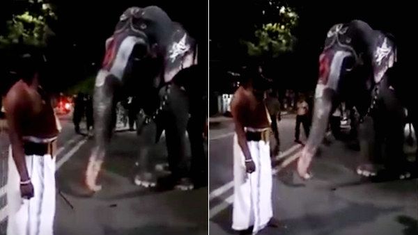 போலாம் வா... பாகனின் கட்டளைக்கு காதை ஆட்டி பதில் சொல்லும் ஸ்ரீரங்கத்து ஆண்டாள் யானை