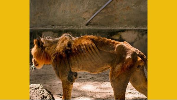 என்னடா பண்ணி வச்சிருக்கீங்க என் 