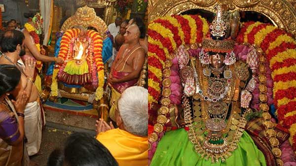 திருச்சானூர் பத்மாவதி தாயார் கோவில் கார்த்திகைபிரம்மோற்சவம் - ஏகாந்த தரிசனம்