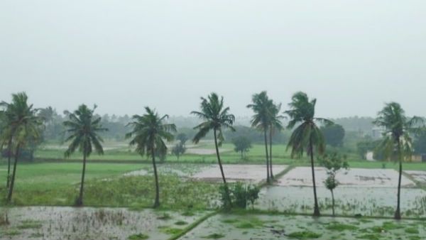 கரையை கடந்த நிவர்.. வேலூரில் 4 மணி நேரத்தில் 10 செ.மீ. மழை.. மக்கள் மகிழ்ச்சி