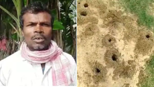 32 ஆண்டுகளில் சுப்பிரமணியத்தை 74 முறை தேடி வந்து பழிவாங்கும் நல்லப் பாம்பு.. அதிர வைக்கும் செய்தி