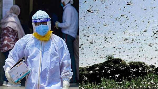 2020 பிளாஷ்பேக்: இந்தியாவை மிரட்டிய வைரஸ், வெட்டுக்கிளி, புயல் மழை - சரியாக கணித்த பஞ்சாங்கம்