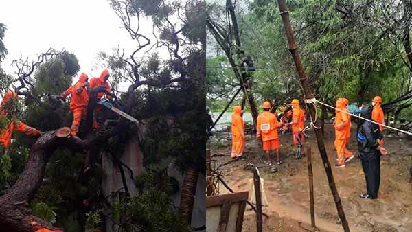 புயல் வெள்ள சேத பகுதிகளை பார்வையிட மத்திய குழு தமிழகம் வருகை - முதல்வருடன் சந்திப்பு