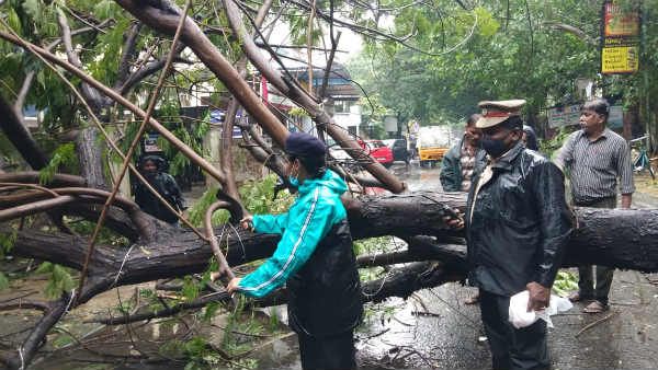 நிவர் புயல் பாதிப்பு குறித்து ஆய்வு செய்ய மத்திய குழு சனிக்கிழமை தமிழகம் வருகிறது