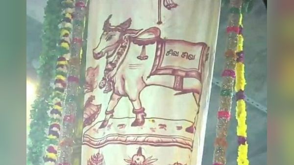 ஆருத்ரா தரிசனம் : சிதம்பரத்திற்கு வெளியூர் பக்தர்கள் வர தடை - தேரோட்டத்தில் பங்கேற்க அனுமதியில்லை