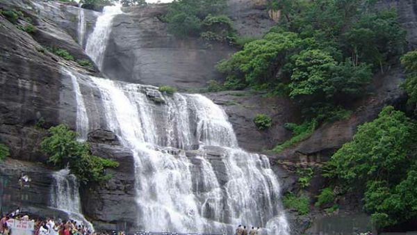 குற்றால அருவிகளில் குளிக்க அனுமதி... சுற்றுலா பயணிகளே என்ஜாய்