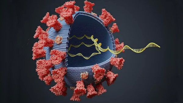 பிரிட்டனில் இருந்து தமிழகம் வந்தவர்களுக்கு.. சுகாதாரத்துறை அறிவுறுத்தல்..!