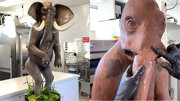 அச்சு அசலாக.. அப்படியே யானை மாதிரியே.. அசர வைக்கும் சாக்லேட் கேக் செய்த அமரி!