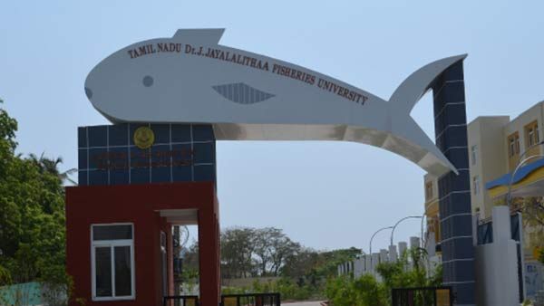 தமிழ்நாடு மீன்வள பல்கலைக்கழகத்தில் வேலைகள்.. ரூ. 1,82,400 வரை ஊதியம்! 
