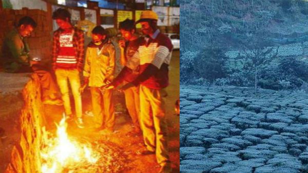 கண்ணே தெரியல.. ஊரெல்லாம் ஒரே பனி.. ரோடெல்லாம் உருகுதே.. மருகுதே.. உறைய வைக்கும் குளிர்.. ஜில் ஊட்டி!