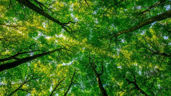 தூரம் மிச்சமிருக்கிறது .. கடந்ததும் ... கடப்பதுமாய் !