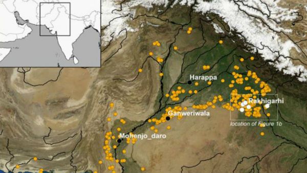 சிந்துசமவெளி மக்கள் மாட்டிறைச்சிகளை உணவாக உட்கொண்டனர்- தொல்லியல் ஆய்வில் புதிய தகவல்
